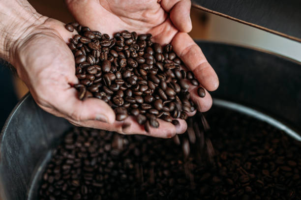Ilgai laikomos kavos pupelės: Ar keičiasi jų savybės ir ar yra galiojimo laikas?